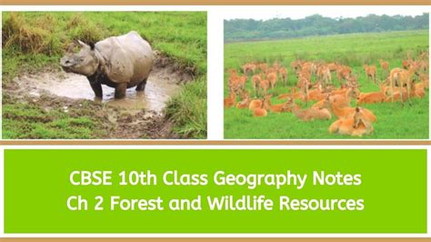 CBSE Class 10 Social Science (Geography) Chapter 2 Forest and Wildlife ...