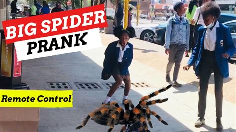 Fake Spider Prank | Attacking Public - Remote Control Spider Prank ...