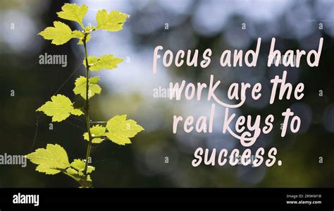 Focus and hard work are the real keys to success. success slogans Stock ...