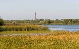 Marton Mere Local Nature Reserve | Visit Blackpool