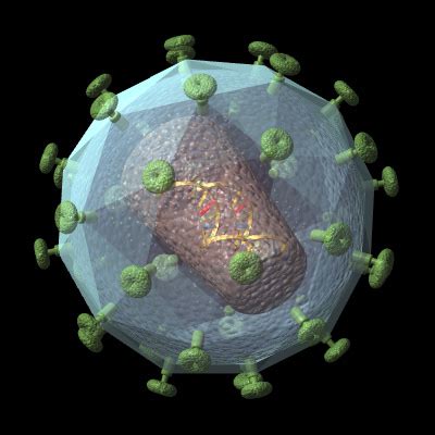 HIV Virus 3D model | CGTrader