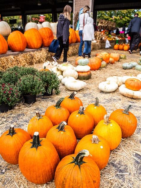 11 TOP FARMERS MARKETS IN RALEIGH YOU MUST CHECK OUT! STORY | This Is ...