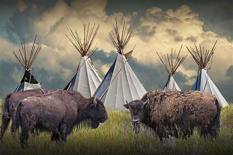 Buffalo Herd On The Reservation Photograph by Randall Nyhof