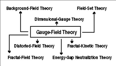 Gauge and Field (3/3)