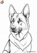 10  Coloring Pictures Of German Shepherds Free Downloads sketch template