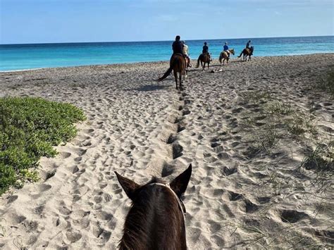 Beach Horseback Riding – NittyGrittyTravelers