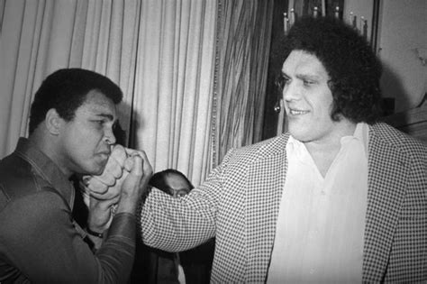 ANDRE THE GIANT Documentary Trailer ⋆ Film Goblin