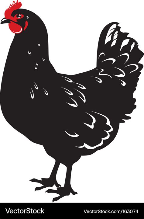 Chicken Royalty Free Vector Image - VectorStock