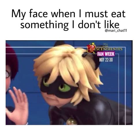 Catprincenoir Miraculous Ladybug Funny Miraculous Ladybug Memes ...