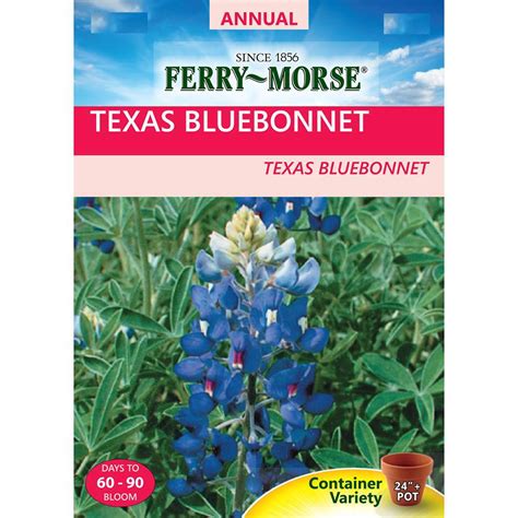 Ferry-Morse Texas Bluebonnet Seed-1164 - The Home Depot