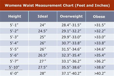 Average Waist Size For Men & Women Comprehensive Guide