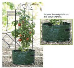 Happy Tomato Grow Bag kit Organic Vegetables, Green Garden, Urban, Kit ...