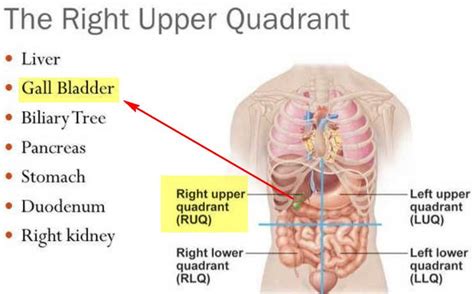 Gallbladder Attack - Symptoms. Signs, Diet, Treatment (Relief)