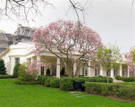 President Kennedy's Rose Garden - White House Historical Association