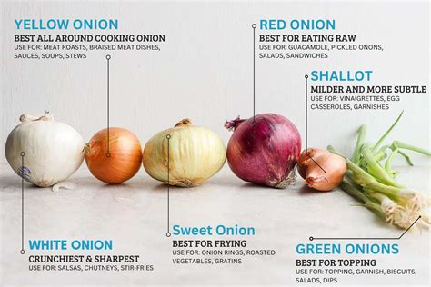 Onions: Different Types And How To Use Them, 59% OFF