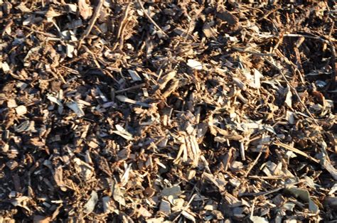 Leaf Mulch | Parklea Sand and Soil