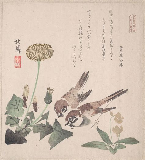Teisai Hokuba | Spring Rain Collection (Harusame shū), vol. 3: Sparrows and Dandelions | Japan ...