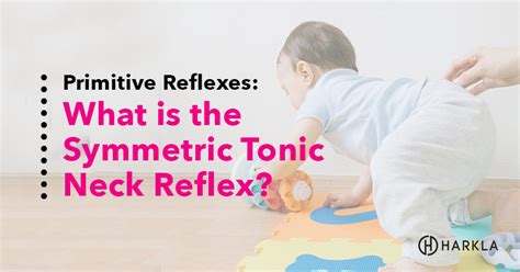 What is the Symmetric Tonic Neck Reflex (STNR)?