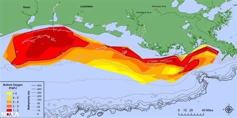 A preocupante expansão da 'Zona Morta' do Golfo do México, onde a vida ...