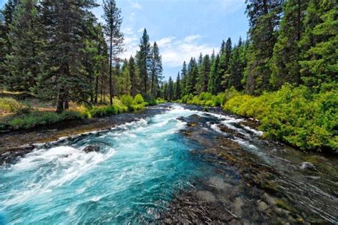 Deschutes National Forest, Deschutes,Oregon. USA: | Passions For Life