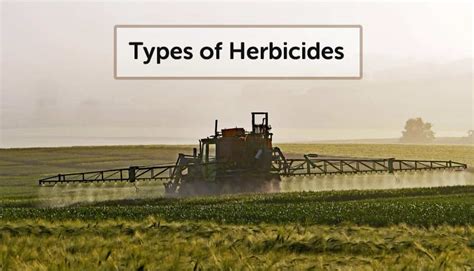 Types of herbicides: Classification for everyone’s understanding – FarmerDB