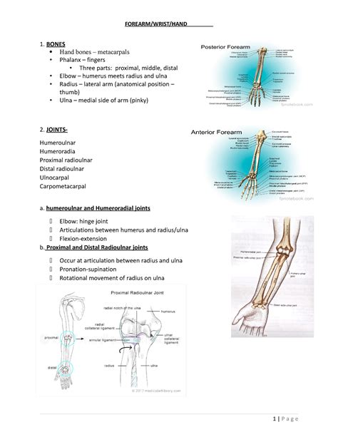 Wrist ppt - notes - 1. BONES Hand bones – metacarpals Phalanx – fingers ...