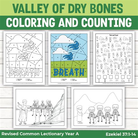 Valley of Dry Bones Activity Pages - Bible Crafts Shop