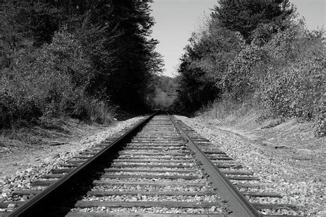 Black And White Railroad Photograph by Michael Waters