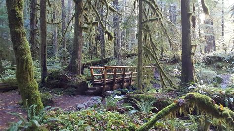 Salmon River Trail - Oregon [OC] [53122988] Salmon River, River Trail ...