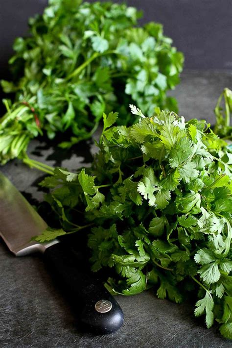 How to: Chop Parsley & Cilantro | Recipe | Parsley, Cilantro, Herbs