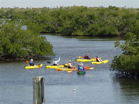 fishing in Pine Island Fla. | Pine island florida, Pine island, Saltwater fishing