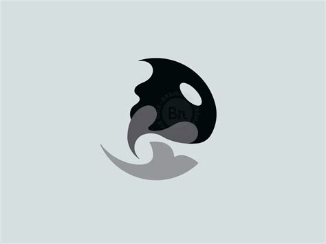 orca Logo - Branition