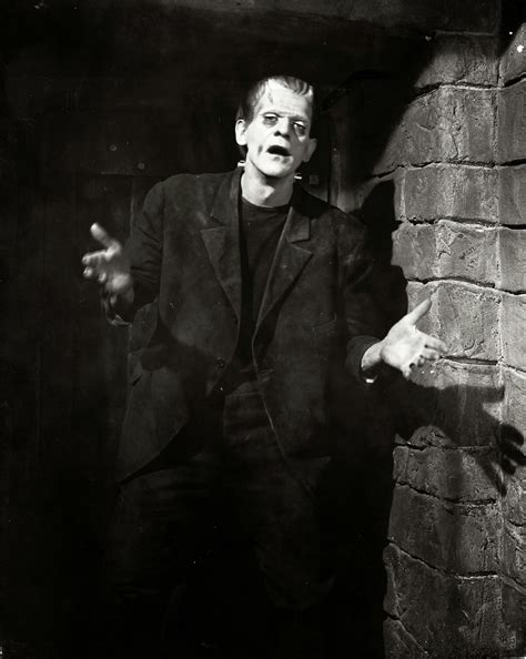 Dr. Theda's Crypt: Dr. Frankenstein' Monster...