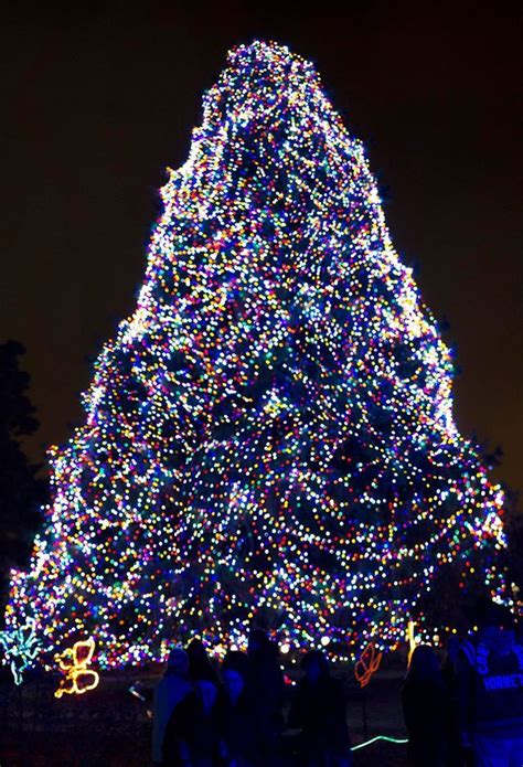 Toledo Zoo Christmas lights | Christmas spirit, Christmas, Christmas time