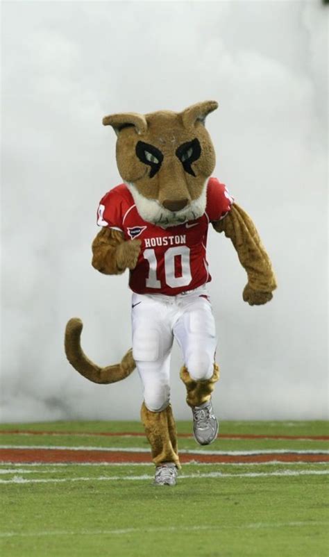 Mascot Monday: Shasta | KC College Gameday