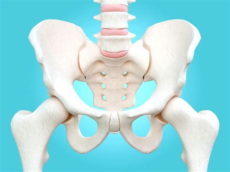 Bone Marrow Transplant: Types, Procedure & Risks