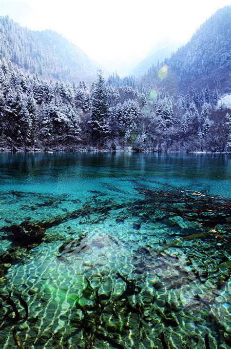 Satakentia, Five Flower Lake Jiuzhaigou National Park,...