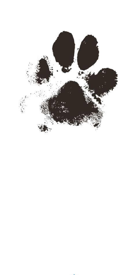 How To Get Paw Print From Dog