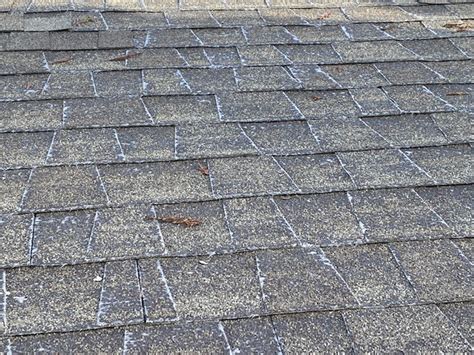 roofing - Is fiberglass showing on roof shingles an indicator of immediate repair needed? - Home ...