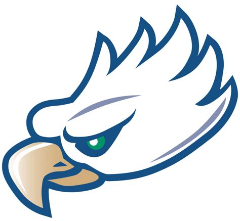 Florida Gulf Coast Eagles Logo (FGCU) | Gulf coast florida, Florida gulf coast university, Gulf ...