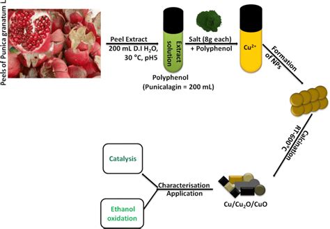 Schematic representation of Cu/Cu2O/CuO NPs synthesis and its... | Download Scientific Diagram