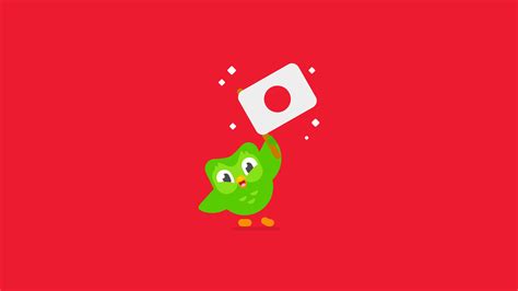 Duolingo for Japanese - EVERYTHING You Need To Know - duoplanet