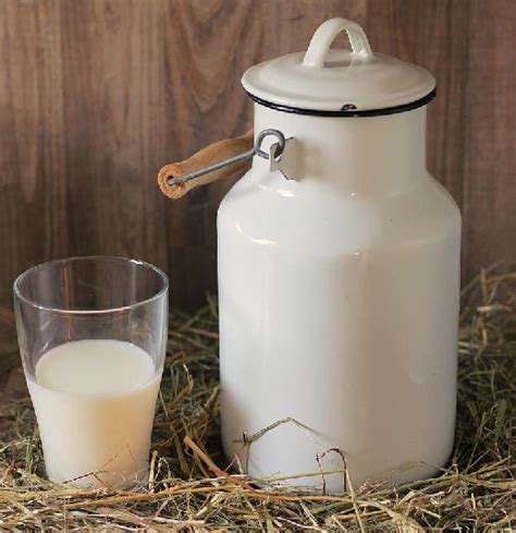 Raw Milk Benefits for Bodybuilding and Health