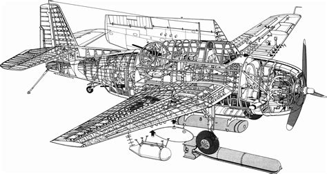 Grumman TBF Avenger Cutaway Drawing in High quality