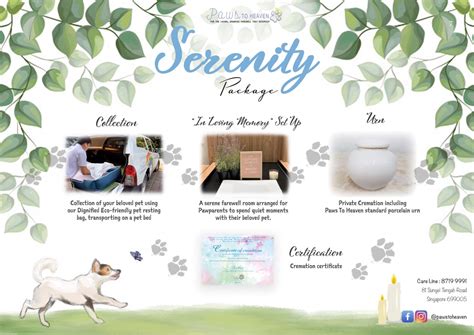 Pet Cremation Package – Paws Love It