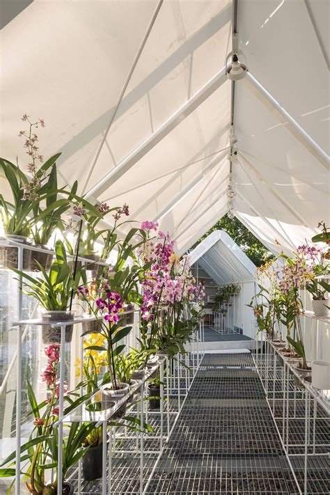 Greenhouse Orchid Punta Del Este | Mateo Nunes Da Rosa | Archello