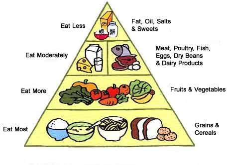 That Whole Food Pyramid Thing? Yea That’s A Lie | by Jay Duquette | Medium