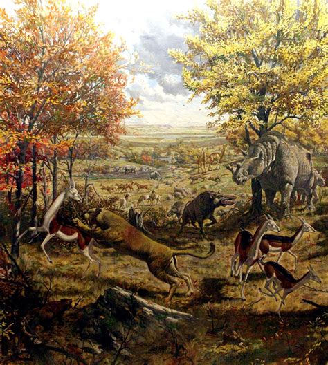 Miocene Epoch | miocene epoch | Prehistoric animals, Prehistoric creatures, Mammals