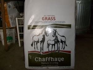 Laminitis horses: Chaffhaye is an option | Blogging from Madalyn Ward, DVM