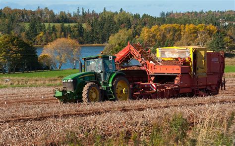 Potato Harvesting in Crapaud area | Potato Harvesting in Cra… | Flickr